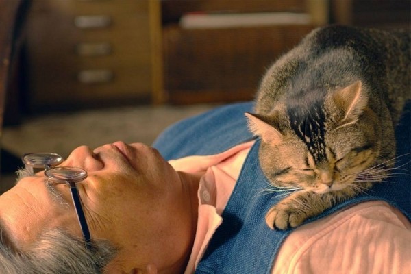 Лучшие драмы 2019 &ndash; ТОП 30 фильмов