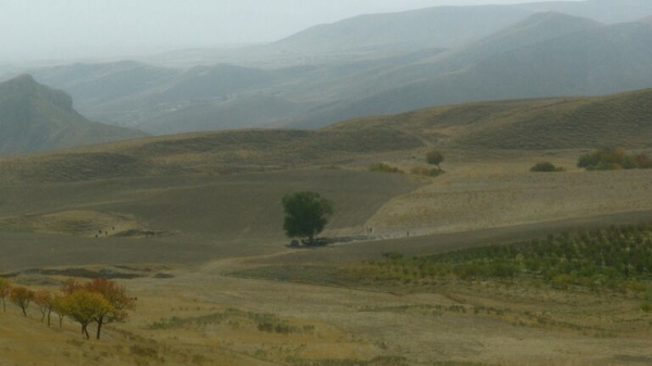 В Нижний Новгород приехали звезды кино на фестиваль "Горький fest" В Нижний Новгород приехали звезды кино на фестиваль "Горький fest"