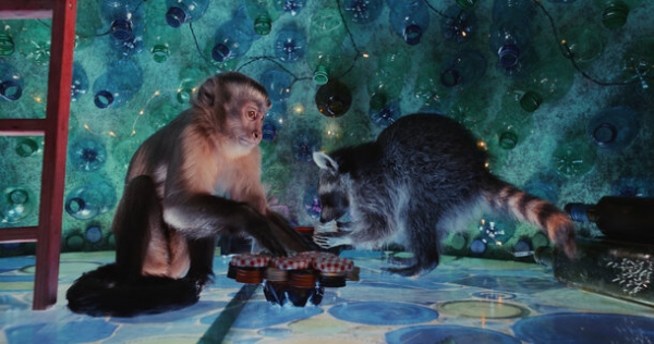 Обезьянка стремится воссоединиться с сородичами в трейлере фильма &laquo;Побег из зоопарка&raquo;