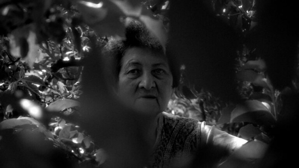 В Нижний Новгород приехали звезды кино на фестиваль "Горький fest" В Нижний Новгород приехали звезды кино на фестиваль "Горький fest"