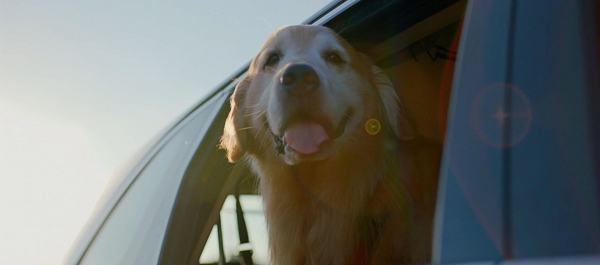 20 лучших комедий 2023 года: самые смешные фильмы с высоким рейтингом